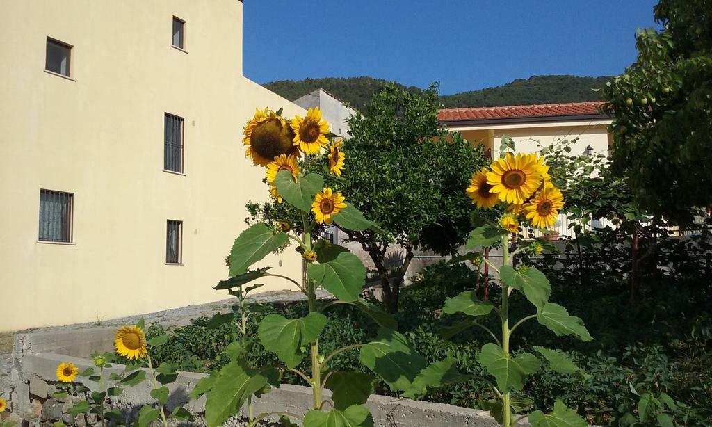 Il Giardino Di Julia B&B Tortora Luaran gambar