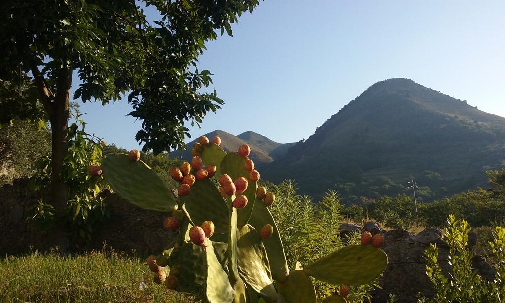Il Giardino Di Julia B&B Tortora Luaran gambar
