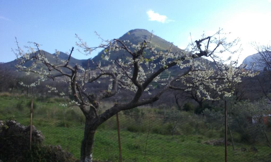 Il Giardino Di Julia B&B Tortora Luaran gambar