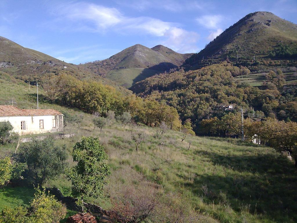 Il Giardino Di Julia B&B Tortora Luaran gambar