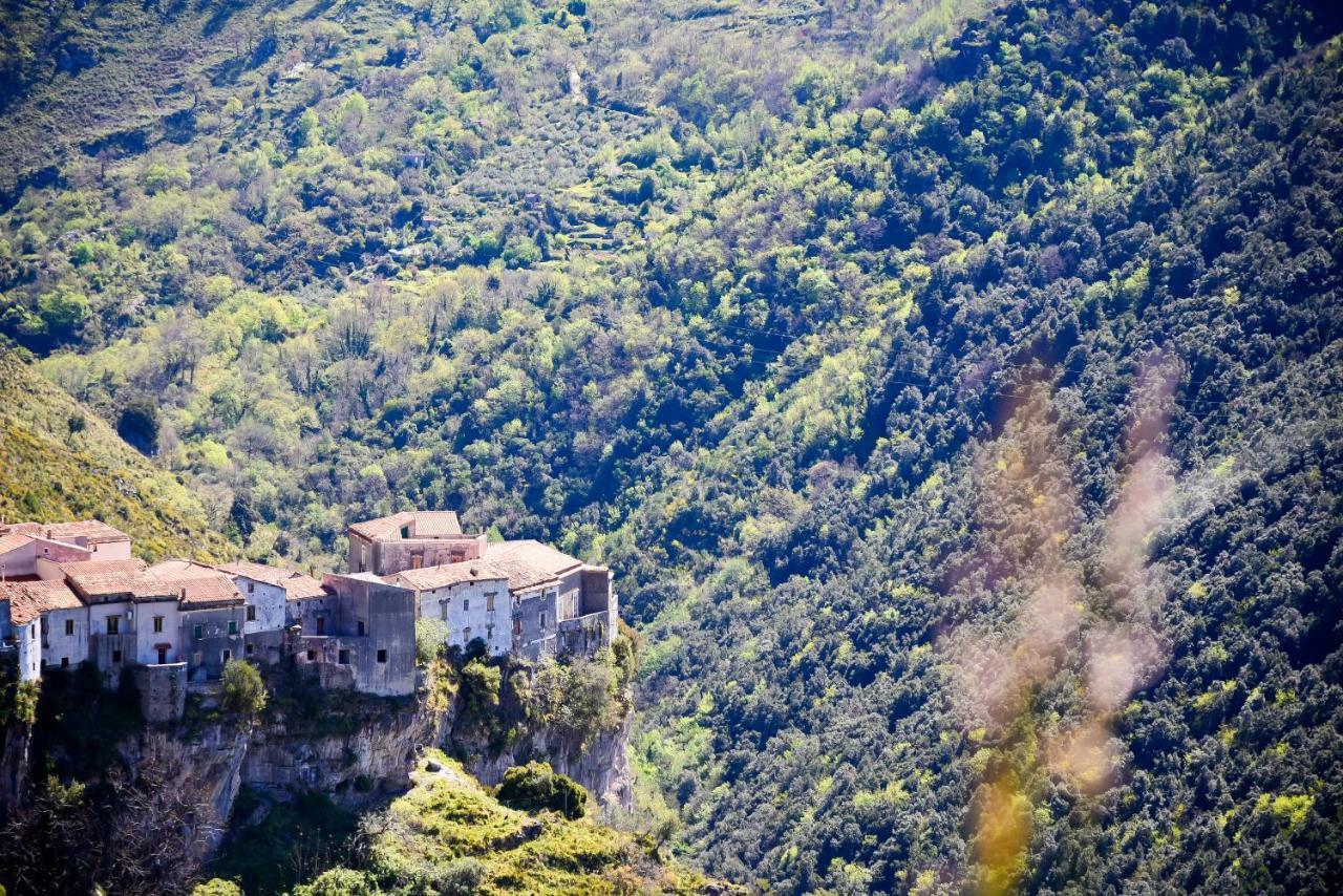 Il Giardino Di Julia B&B Tortora Luaran gambar